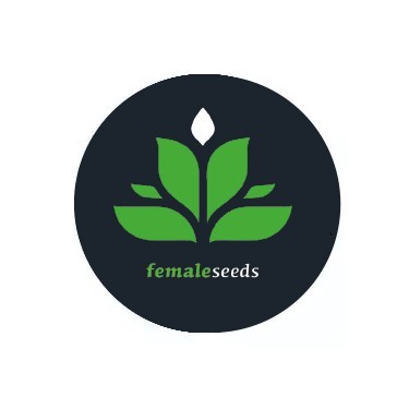 Semillas autoflorecientes Female Seeds